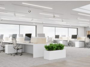 Individual Wrapped Custom Wooden Coffee Stirrer